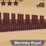 Generador Marimba Royal