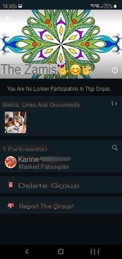 Create and manage discussion groups with WhatsApp